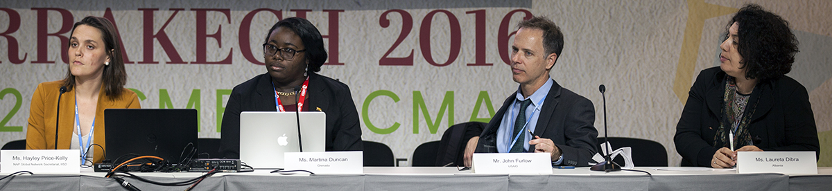 cop22-panel