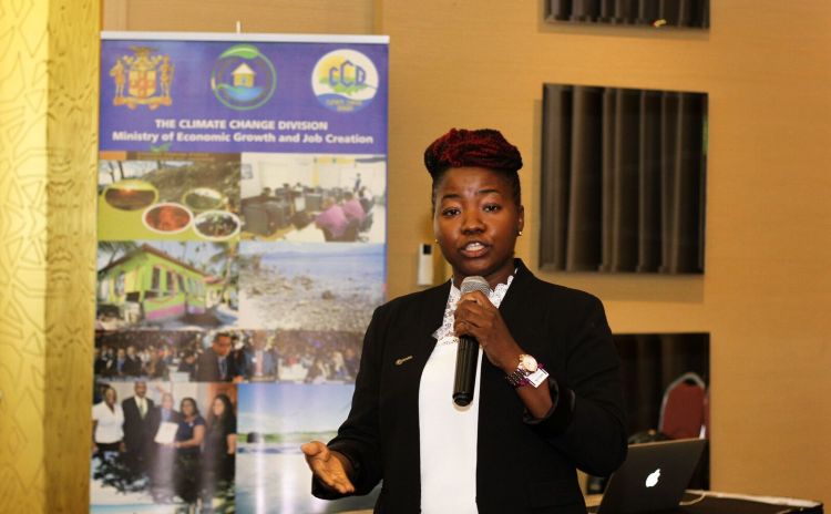 Ayesha Constable of the Ministry of Economic Growth and Job Creation: Jamaica is taking a sectoral approach to its NAP process 
