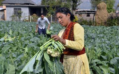Private Sector Engagement Gender Blog