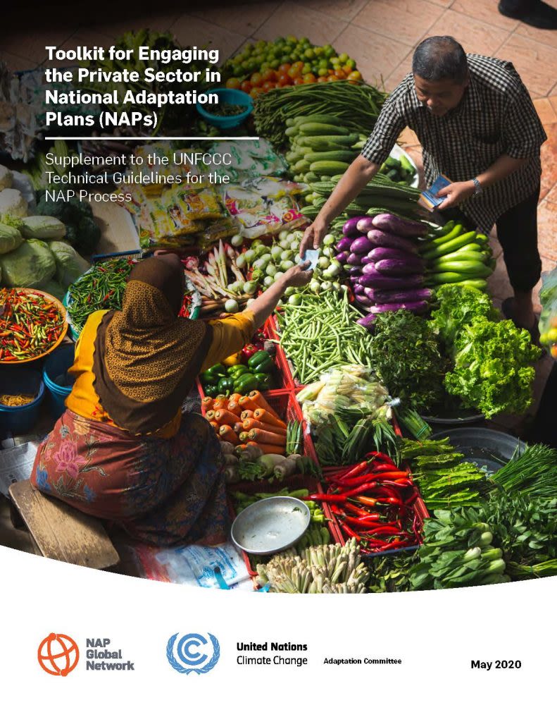 Cover of Toolkit for Engaging the Private Sector in National Adaptation Plans (NAPs)