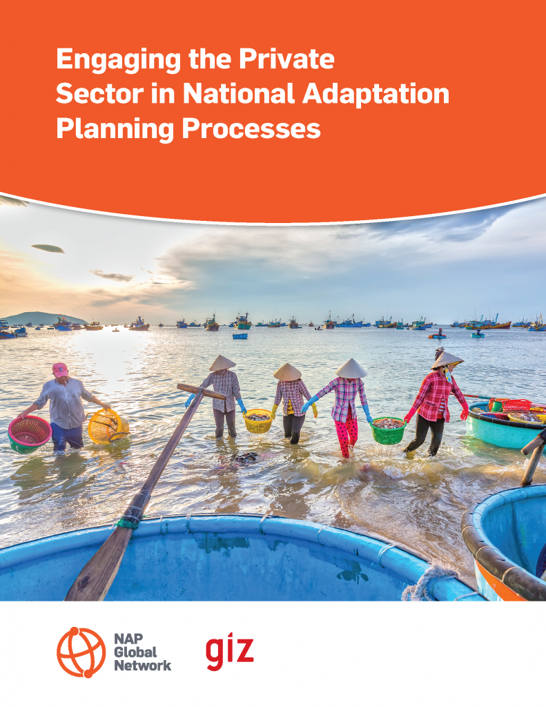 Cover of Engaging the Private Sector in National Adaptation Planning Processes