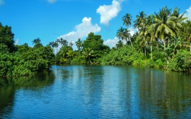 Deep blue river with tropical trees lining its shores under a bright blue sky