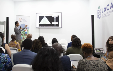 Representatives from Africa and Latin America shared their diverse experience with local adaptation planning and implementation in this side event.