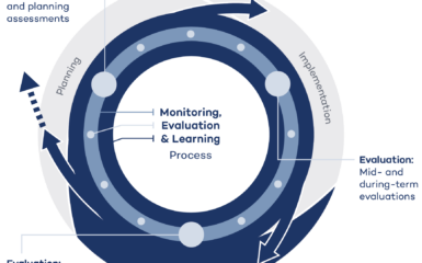 Figure 1. The MEL of NAP processes refers to both a distinct phase and a dedicated set of activities throughout the NAP process.