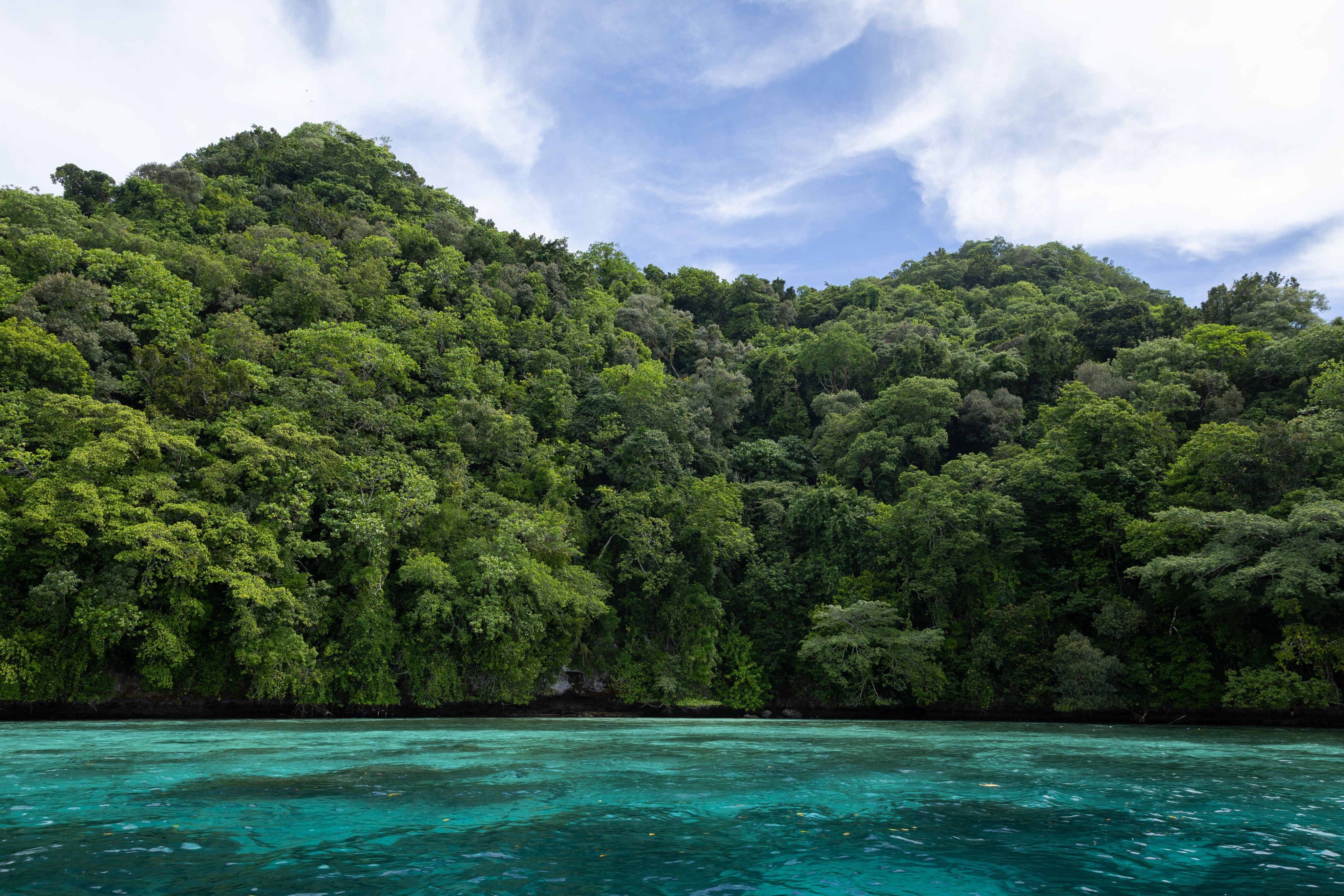 A view of a lush green island on the edge of clear, blue water. 